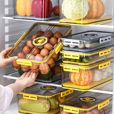 Seal Timer Food Container-3PCS - luvinly